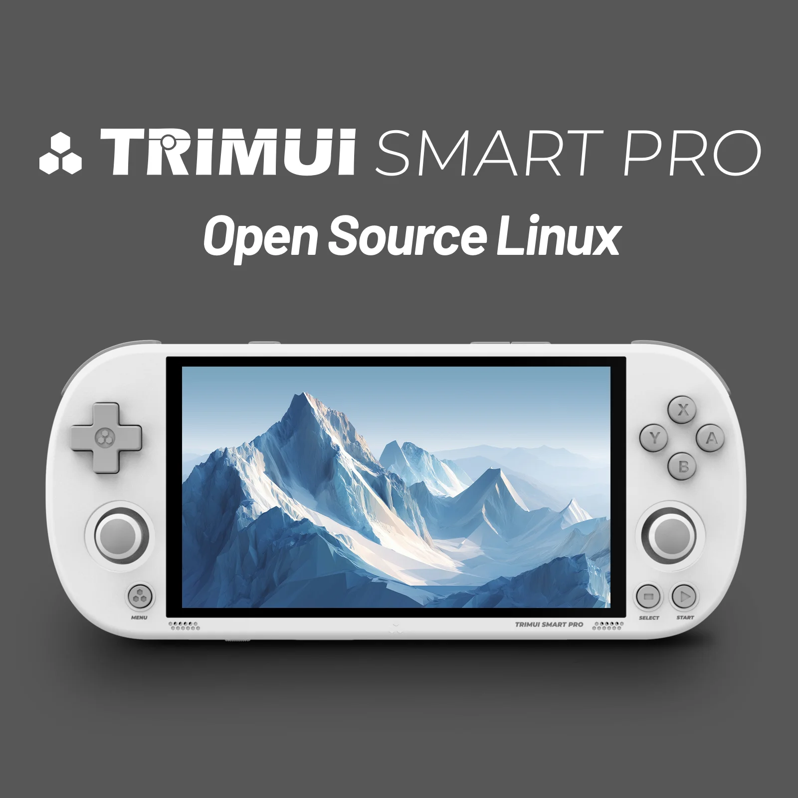Trimui Smart Pro 4.96インチ IPS 液 - Gaming Console Under 5000 のレビューと価格
